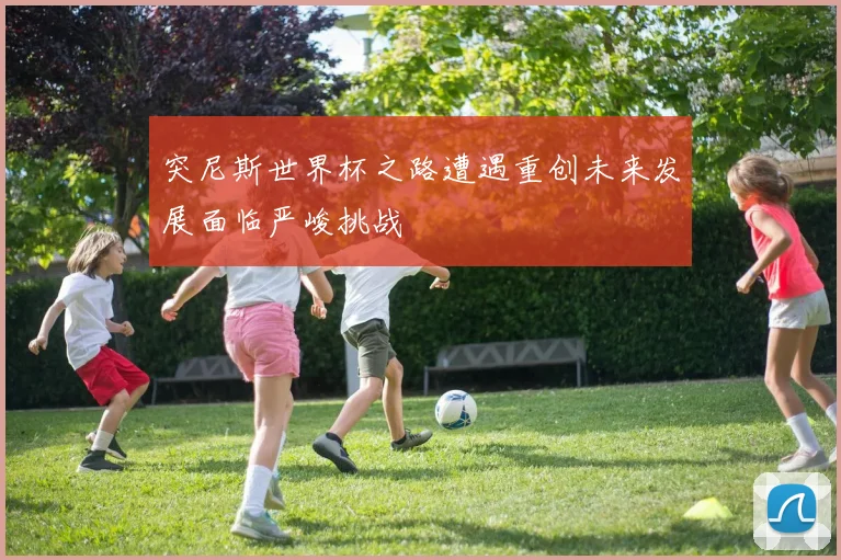 突尼斯世界杯之路遭遇重创未来发展面临严峻挑战